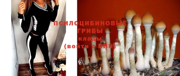 МДМА Каменка