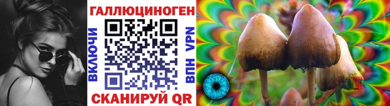 Купить закладки Демидов Псилоцибиновые грибы Cubensis